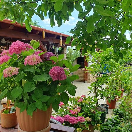 Feher Rozsa Apartman Cserszegtomaj Exteriér fotografie