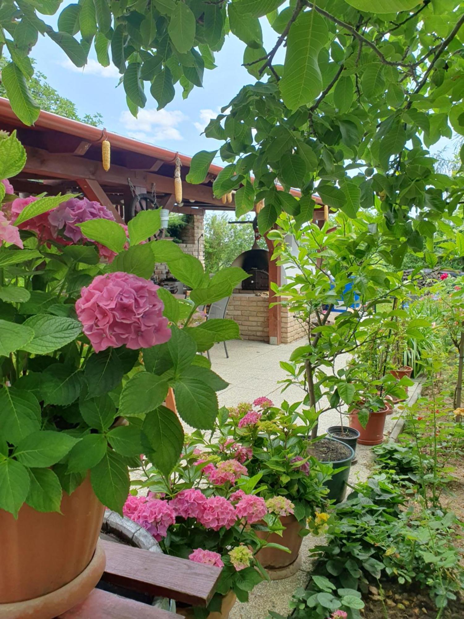 Feher Rozsa Apartman Cserszegtomaj Exteriér fotografie