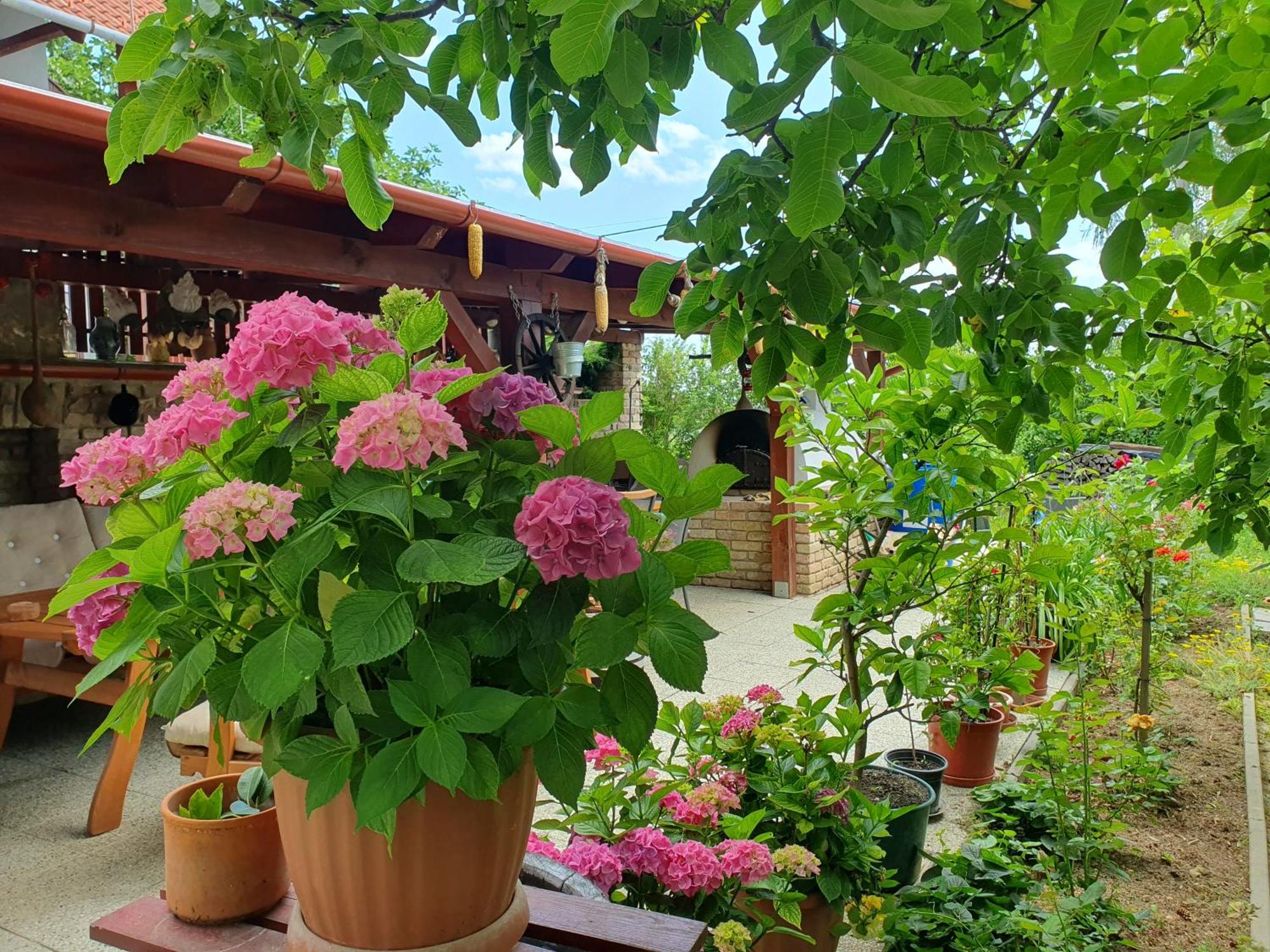 Feher Rozsa Apartman Cserszegtomaj Exteriér fotografie